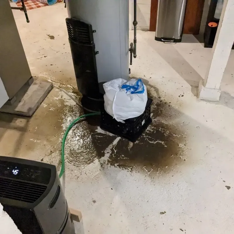 Sewage Backup Cleanup Service in Pierce City, MO